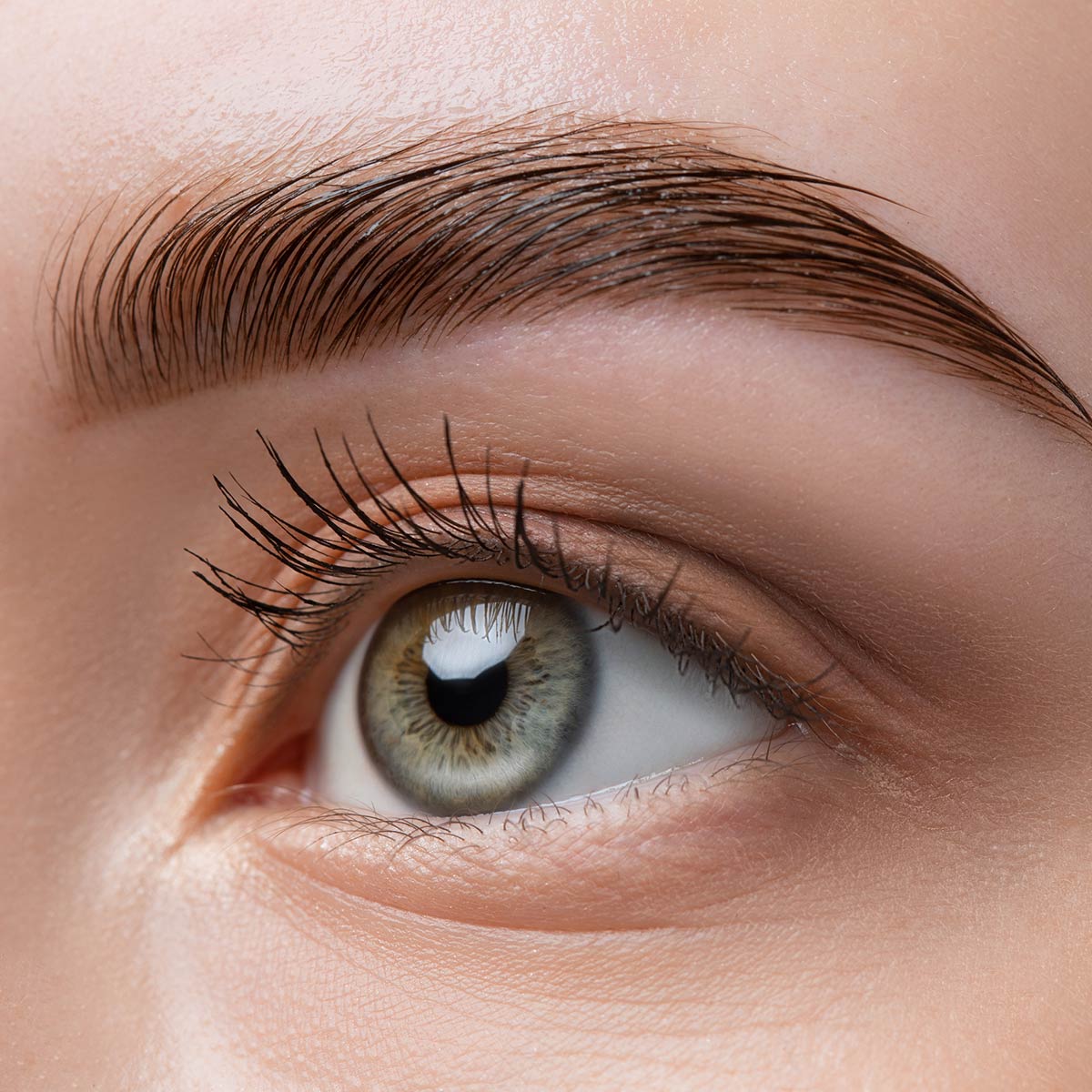 Lashes-and-Brows